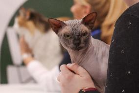 Budapest World Cat Show - Hungary