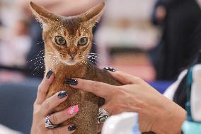 Budapest World Cat Show - Hungary