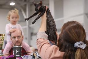 Budapest World Cat Show - Hungary