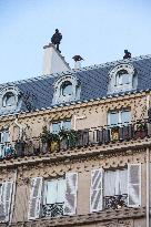 Illustration - Attacks January November 2015 - Paris