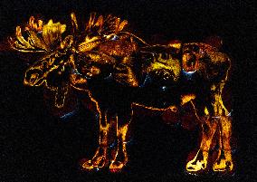 CANADA-MILTON-PUMPKINS AFTER DARK