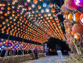 CANADA-MILTON-PUMPKINS AFTER DARK