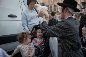 Ultra-Orthodox Jews Select Chickens Before the Kaparot Ritual - Jerusalem