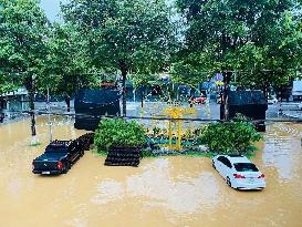 Typhoon Bualoi Death Toll - Vietnam