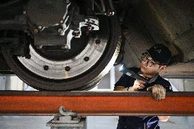 High-speed Trains Maintenance