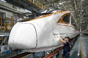 High-speed Trains Maintenance