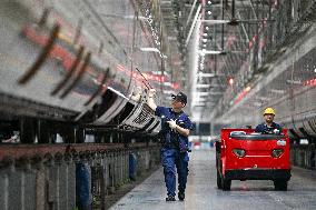 High-speed Trains Maintenance