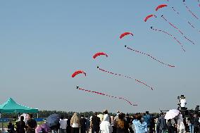 2025 Liaoning Aviation Industry Development Conference