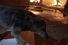 Airstrikes Aftermath - Kharkiv