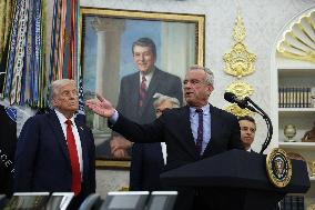 President Trump at the White House - Washington