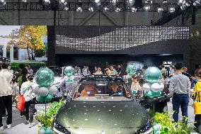 2025 Hefei International New Energy Vehicle Exhibition in Hefei