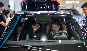 2025 Hefei International New Energy Vehicle Exhibition in Hefei