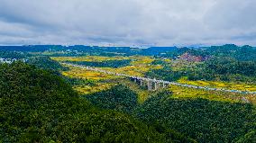 World's First Mountain Canyon Landscape Bridge