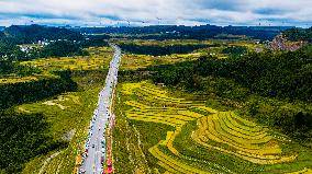 World's First Mountain Canyon Landscape Bridge