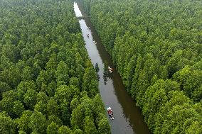 Water Forest Park in Huai'an