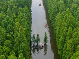 Water Forest Park in Huai'an