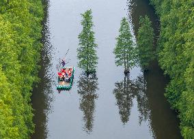 Water Forest Park in Huai'an