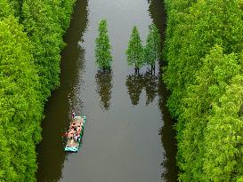 Water Forest Park in Huai'an