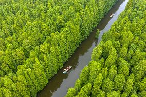 Water Forest Park in Huai'an