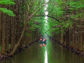 Water Forest Park in Huai'an