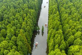 Water Forest Park in Huai'an