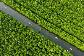 Water Forest Park in Huai'an