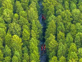 Water Forest Park in Huai'an