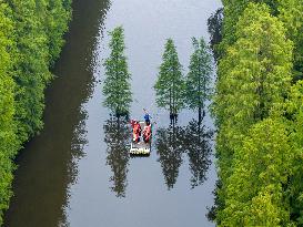 Water Forest Park in Huai'an