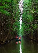 Water Forest Park in Huai'an