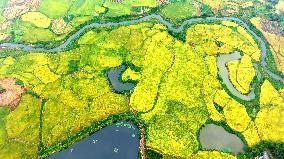 National Standard Farmland in Tongcheng