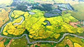 National Standard Farmland in Tongcheng
