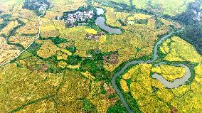 National Standard Farmland in Tongcheng