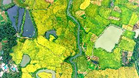 National Standard Farmland in Tongcheng