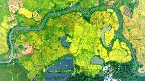 National Standard Farmland in Tongcheng