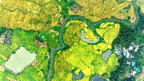 National Standard Farmland in Tongcheng