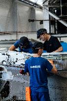 Royal Couple Pays Working Visit To Occitanie - Toulouse