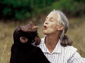File picture - Jane Goodall