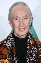 Jane Goodall Dead At 91