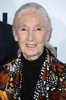 Jane Goodall Dead At 91