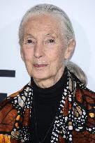 Jane Goodall Dead At 91