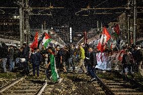 Pro-Palestine Rally - Italy