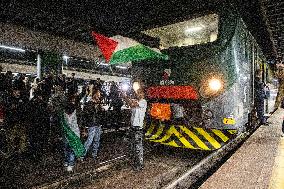 Pro-Palestine Rally - Italy