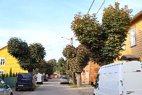 Aesculus hippocastanum