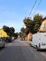 Aesculus hippocastanum