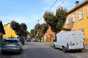 Aesculus hippocastanum