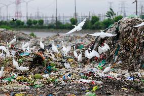 Environmental Pollution In Bangladesh