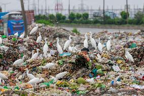 Environmental Pollution In Bangladesh