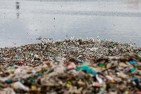 Environmental Pollution In Bangladesh