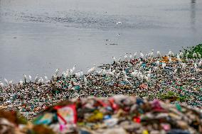 Environmental Pollution In Bangladesh
