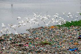Environmental Pollution In Bangladesh